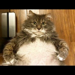 Meet your Posher, Colleen